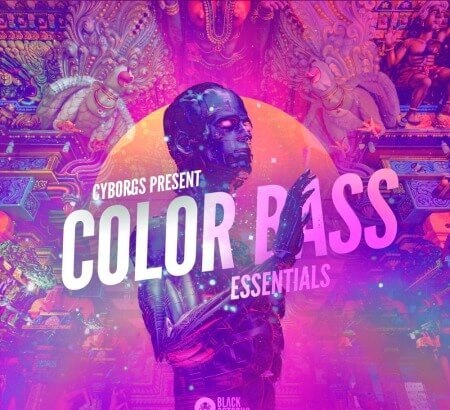 Black Octopus Sound Color Bass Essentials WAV MiDi Synth Presets